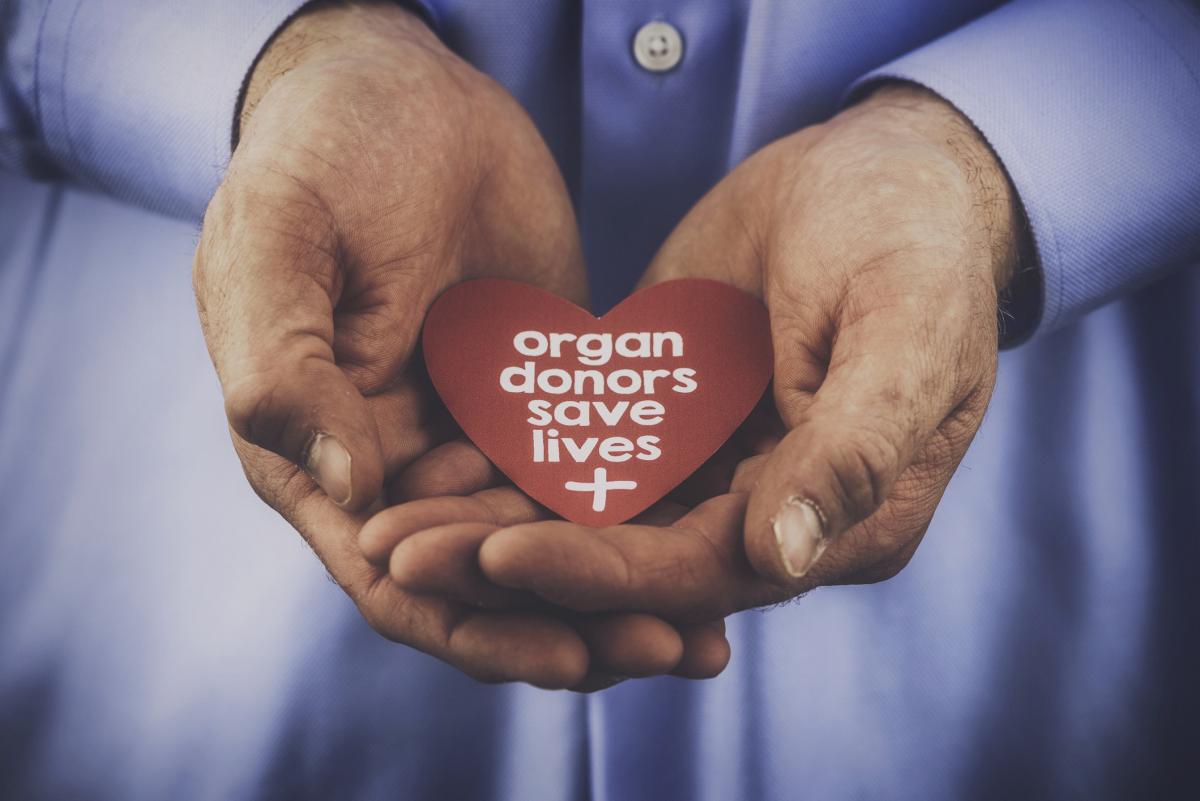 Organ donation stock image